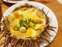 海胆蒸蛋-海胆小馆(春柳店)