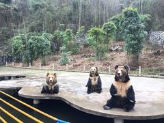 -贵州森林野生动物园