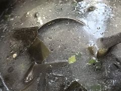 -湖南码头·地道岳阳美食·湘菜(魏公村店)