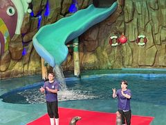 -烟台海昌鲸鲨海洋公园