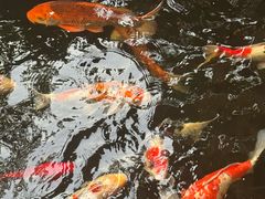 -侠成水上农庄(工业大道店)