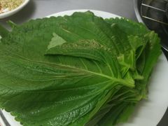-松明一烤肉馆(鲁园店)
