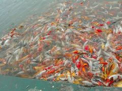 -北戴河圣蓝海洋公园