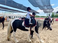 -北京群众马术培训基地