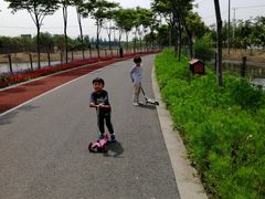 -上海长兴岛郊野公园