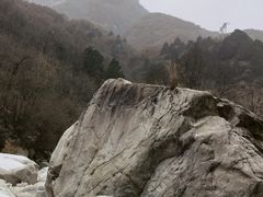 -沣峪口
