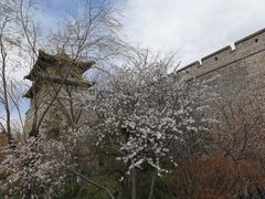 -大同古城墙