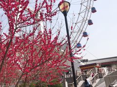 -肘子酥·天津菜·特色捞面(德云社店)