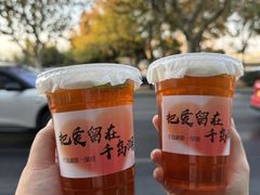 -鱼宴馆·家宴老字号淳鱼馆(千岛湖总店)