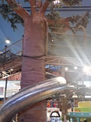 -卡通尼·Safari非洲探索乐园·生日会(金桥国际商业广场店)