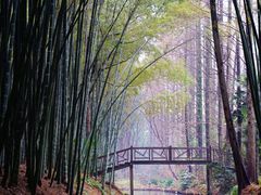 -同里国家湿地公园