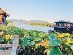 -湘湖大院(越王路店)