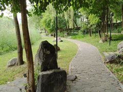 -唐城墙遗址公园