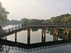 -百脉泉景区