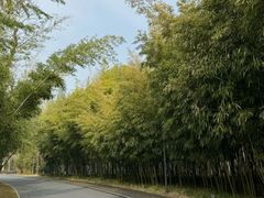 -安吉竹博园