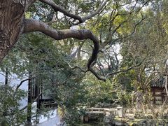 -复旦大学附属华山医院(总院)