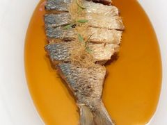 -子福慧(虹桥店)