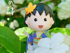 -上海滨江森林公园