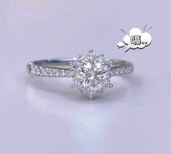 -钻石小鸟钻戒婚戒定制(石路店)