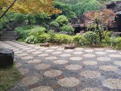 -苏州上方山国家森林公园