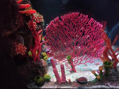 -沈阳海洋探索中心