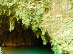 -怀托摩萤火虫洞