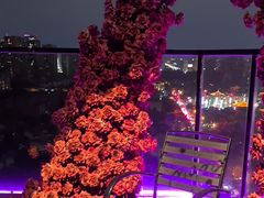 -烛影拾光观景餐厅·创意菜·摄影·小提琴(大唐不夜城店)