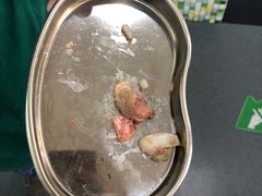 -爱侣宠医·鹦鹉专科·小型哺乳类·异宠专科(灵石路店)