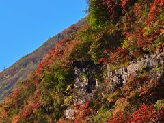 -白帝城·瞿塘峡景区