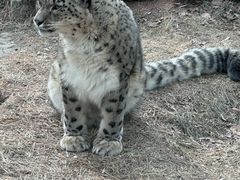 -青藏高原野生动物园