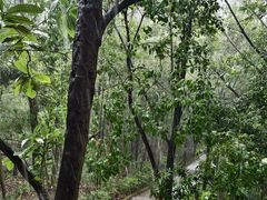 -神光山国家森林公园