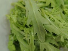 -草原传奇鲜羊火锅(桥北店)