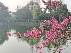 -无锡蠡湖国家湿地公园-蠡园