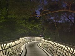 -福道