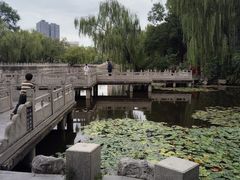 -文瀛公园