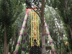 -长白岛森林公园