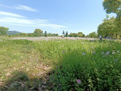 -良渚古城遗址公园
