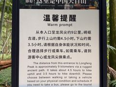 -天目山大树王景区