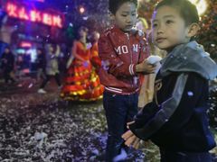 -锦江乐园舞狸花花游园会(夜场专享)