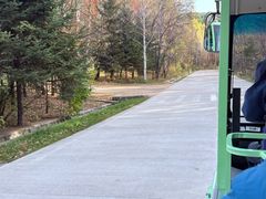 -五营红松林海景区