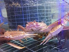 -巧克力渔家.小船海鲜家常菜(三浴场店)