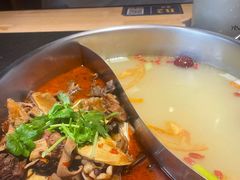 -蓉客成都火锅·招牌麻辣牛杂·特色香辣蹄花(凌水店)