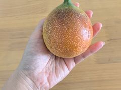 -新鸿港水果市场