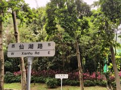-深圳仙湖植物园