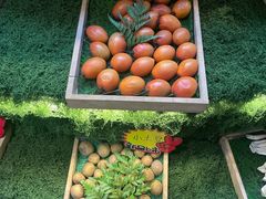 -花菇朵·云山雀 ll 野生菌火锅·精品云南菜(万柳店)