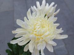 -侵华日军南京大屠杀遇难同胞纪念馆