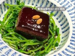 -觀芷隐轩