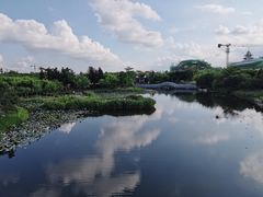 -映月湖公园