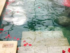 -苏州湾王焰温泉度假酒店