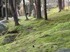 -玉苍山国家森林公园